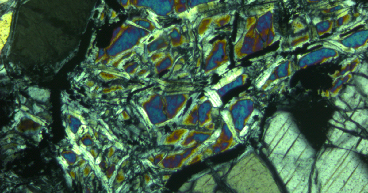 Solstice Arts Centre Hammerheads