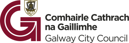 Galway City Council