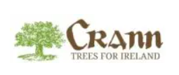 An Crann
