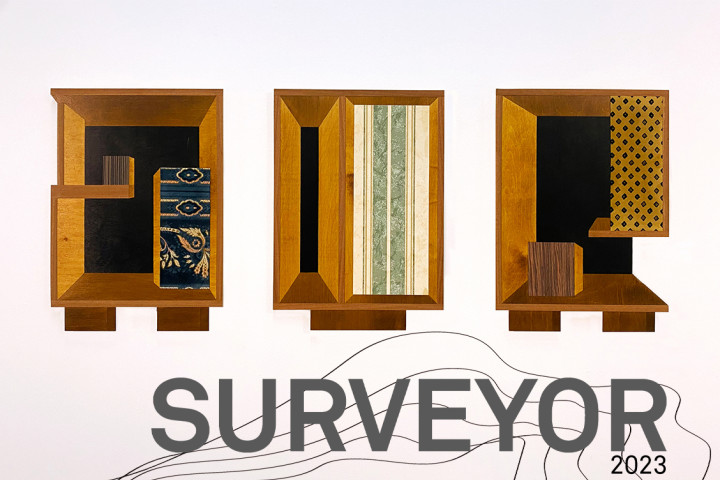 Image saying SURVEYOR 2023: Call out for submissions