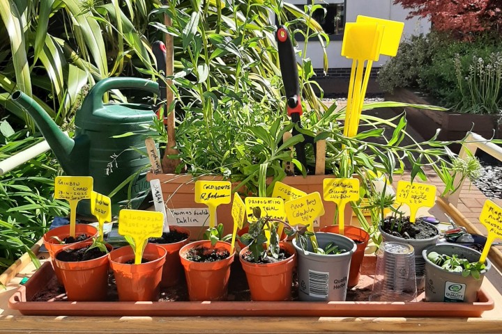 Image saying The Studio 2026 at Beaufort House with artist Penelope Lacey