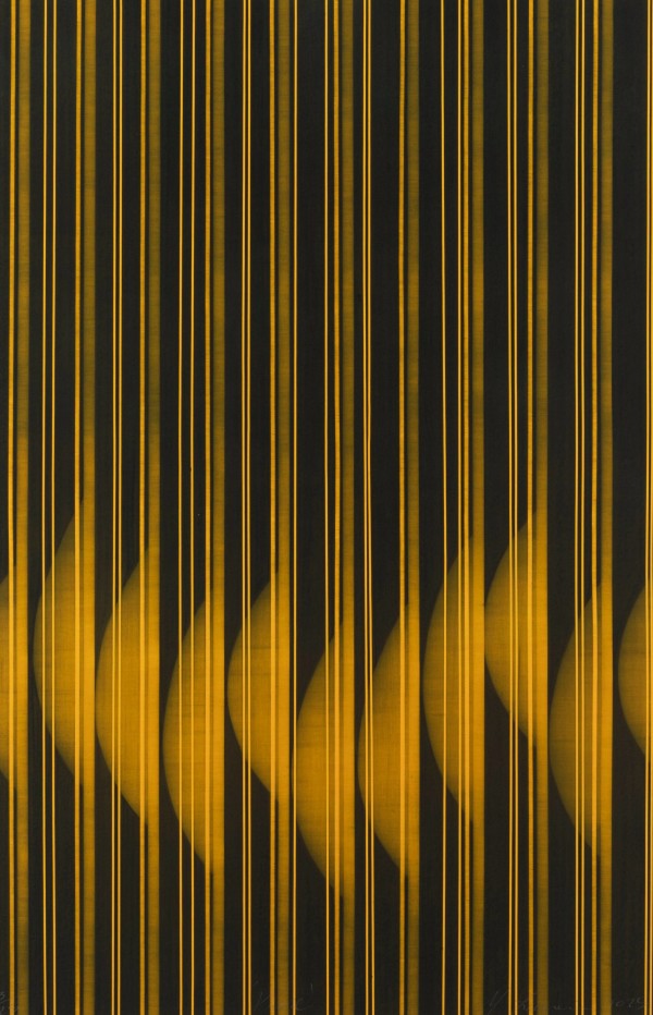 website MF PHASE 2025